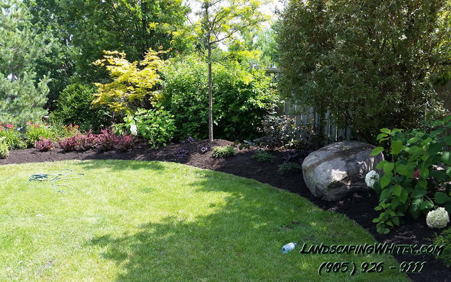 Pool Landscaping and Flower Beds